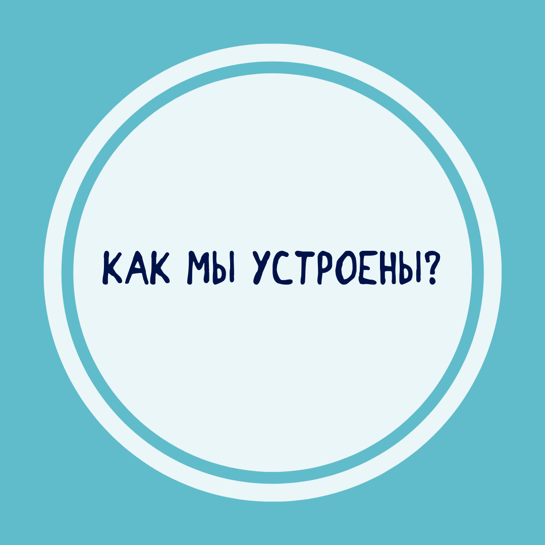 Детские книги об устройстве человеческого тела Купить детские книги о теле человека в интернет-магазине Фантазеры.рф